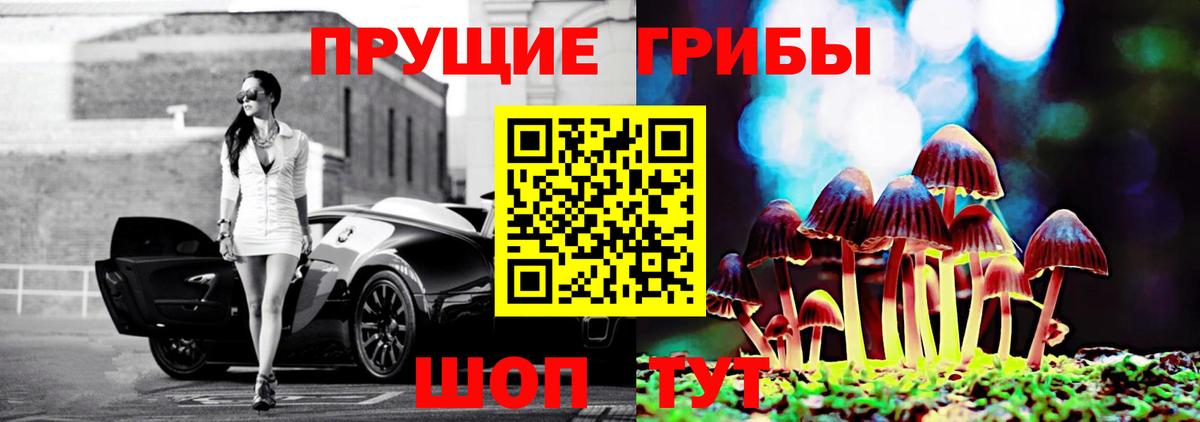 Галлюциногенные грибы мицелий Костомукша