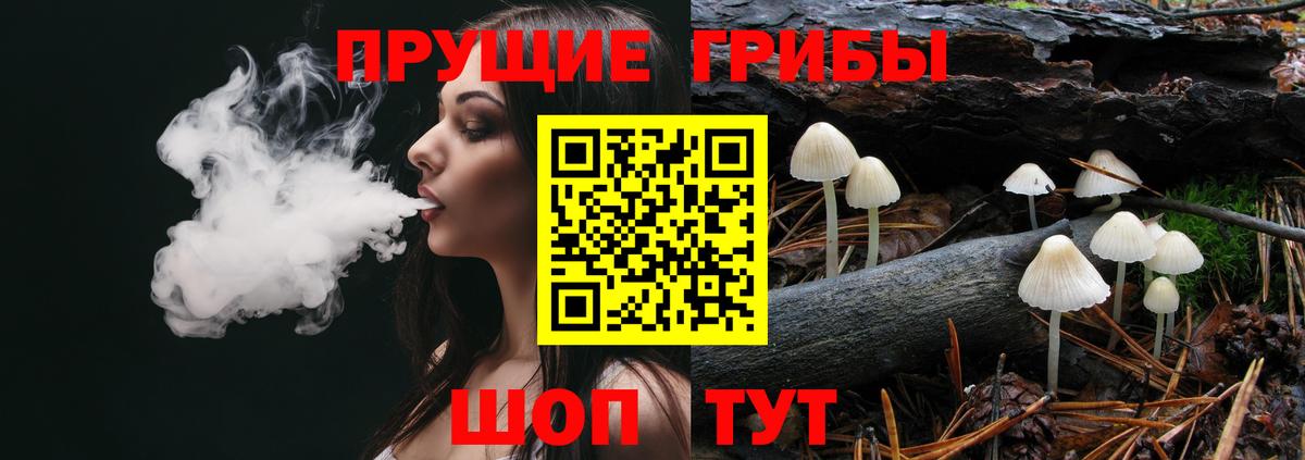 Псилоцибиновые грибы Psilocybe  Вход с VPN  Костомукша  Псилоцибиновые грибы Cubensis 