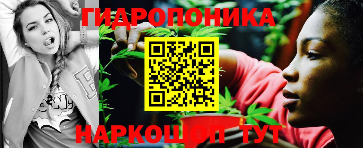 Марихуана тримм  Конопля сатива  Костомукша  Вход с VPN  Шишки марихуана сатива  Каннабис конопля 